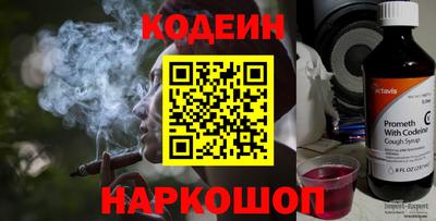 стафф Гай