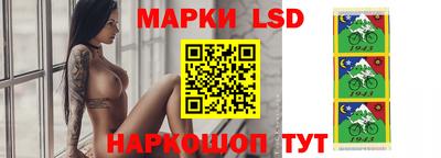 стафф Гай