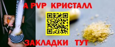 стафф Гай