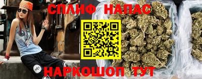 стафф Гай