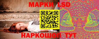 стафф Гай
