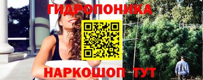 ГАЛЛЮЦИНОГЕННЫЕ ГРИБЫ Гатчина